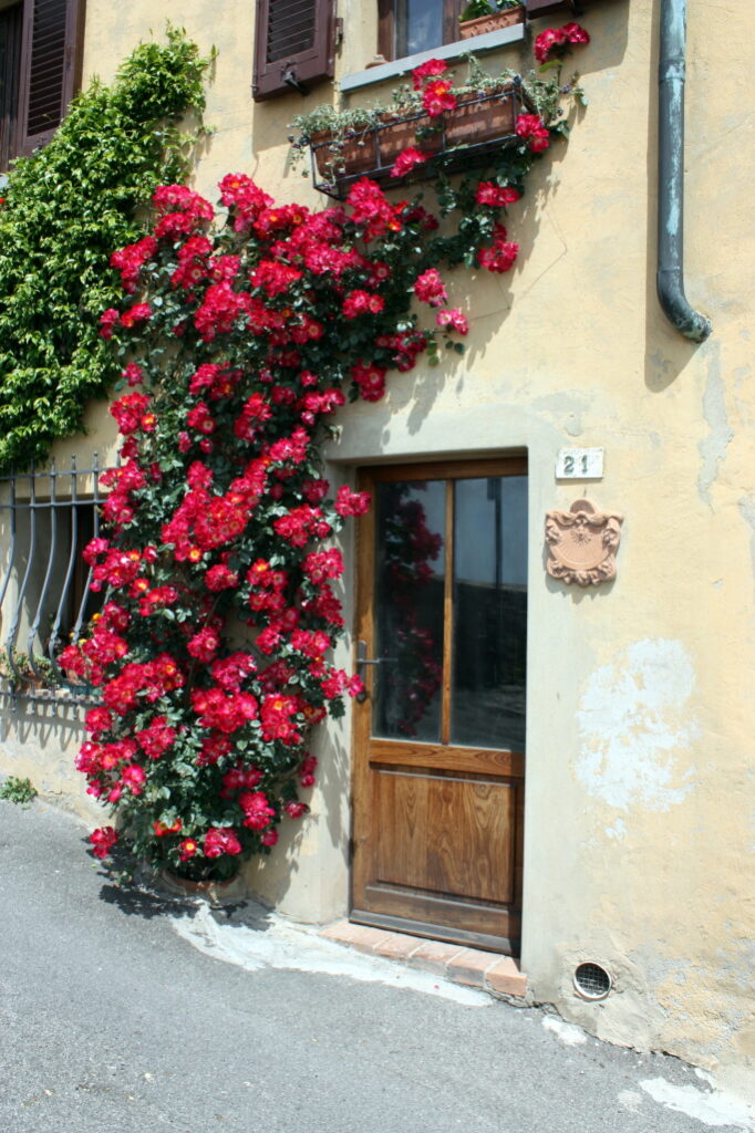 Italy - Item #JYP-Italy-Door-IMG-3232